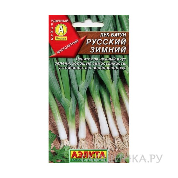 Семена Лук батун Русский зимний 1гр. ЦП