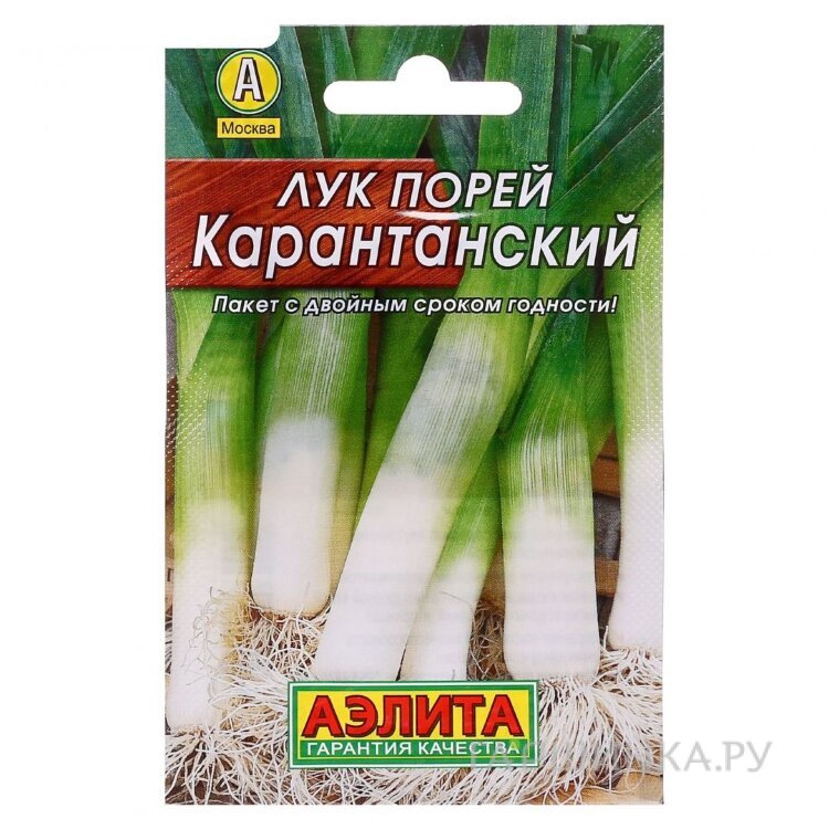 Семена Лук порей Карантанский 1гр. ЦП