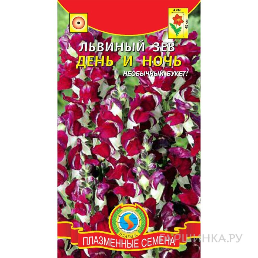 Семена Львиный зев День и Ночь ц.п. 0,05гр