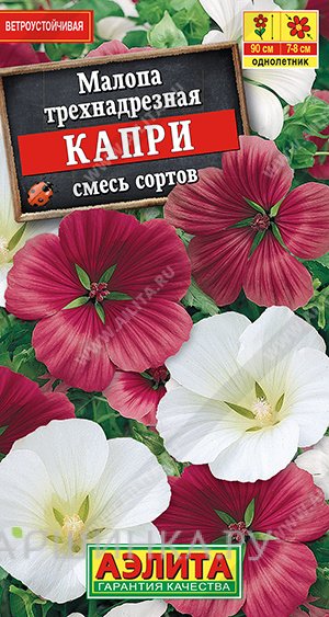 Семена Малопа Капри,0,3гр ЦП