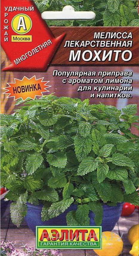 Семена Мелисса Махито 0,1 гр ЦП