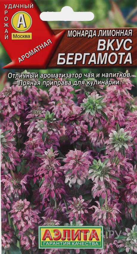 Семена Монарда лимонная Вкус бергамота 0,2 гр ЦП