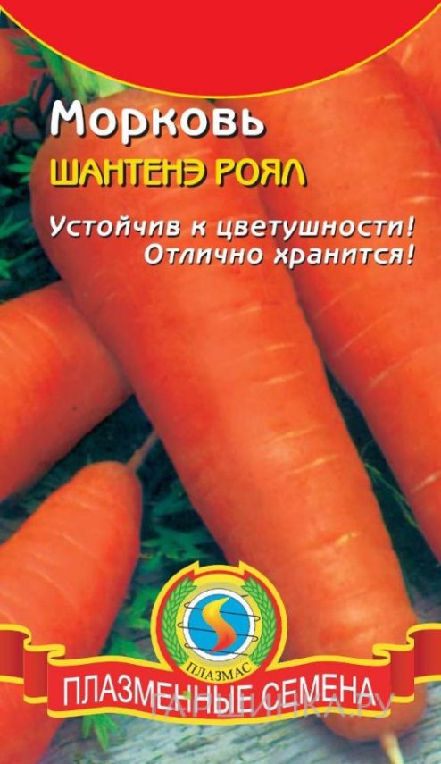 Семена Морковь Шантане роял ц.п. 2 гр