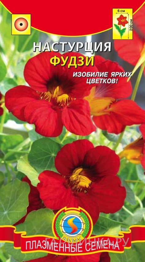 Семена Настурция махровая Летние лучи, ЦП