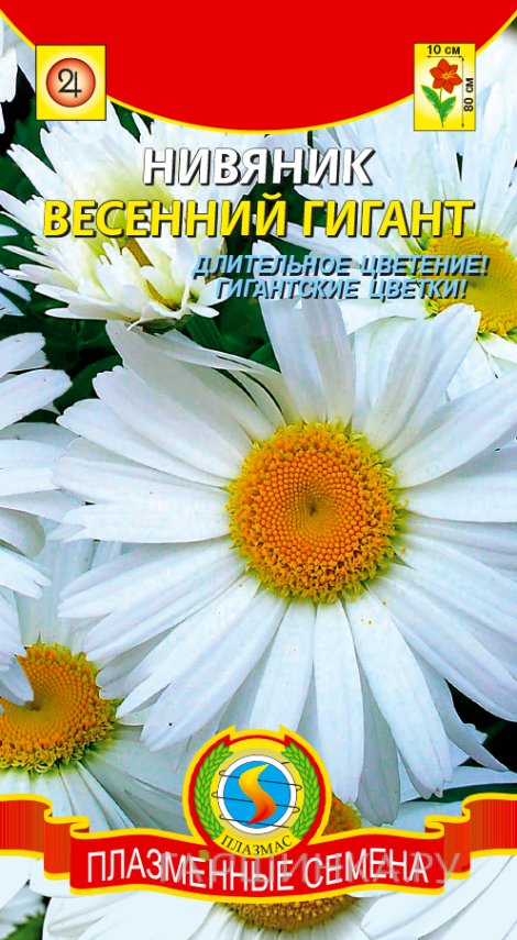 Семена Нивяник Весенний Гигант ц.п. 0,2 гр
