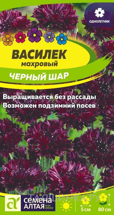 Семена Василек Черный шар 0,5гр ЦП