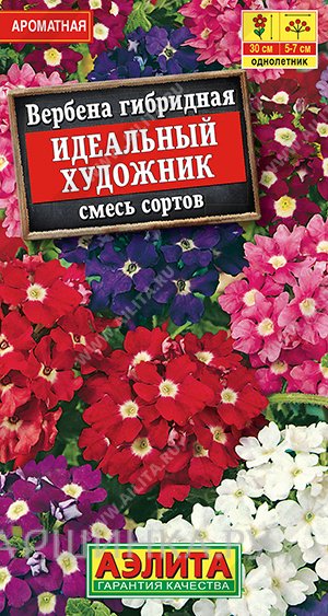 Семена Вербена Идеальный художник 0,1гр ЦП