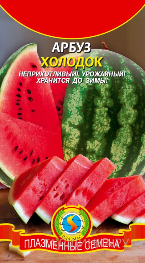Семена Арбуз Холодок, 1 гр, Плазменные семена