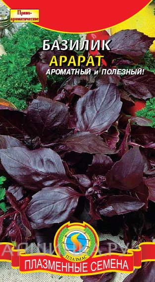 Семена Базилик Арарат, 0,3 гр, Плазменные семена