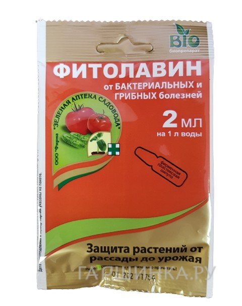 Фитолавин пластик ампула 2 мл