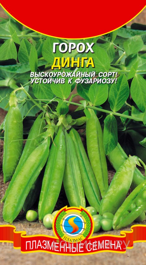 Семена Горох Динга, 8 гр, Плазменные семена