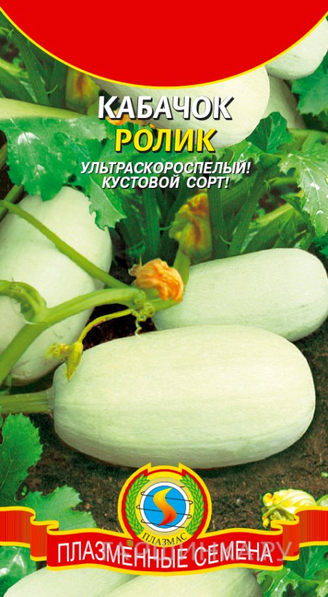 Семена Кабачок Ролик, 11 шт, Плазменные семена