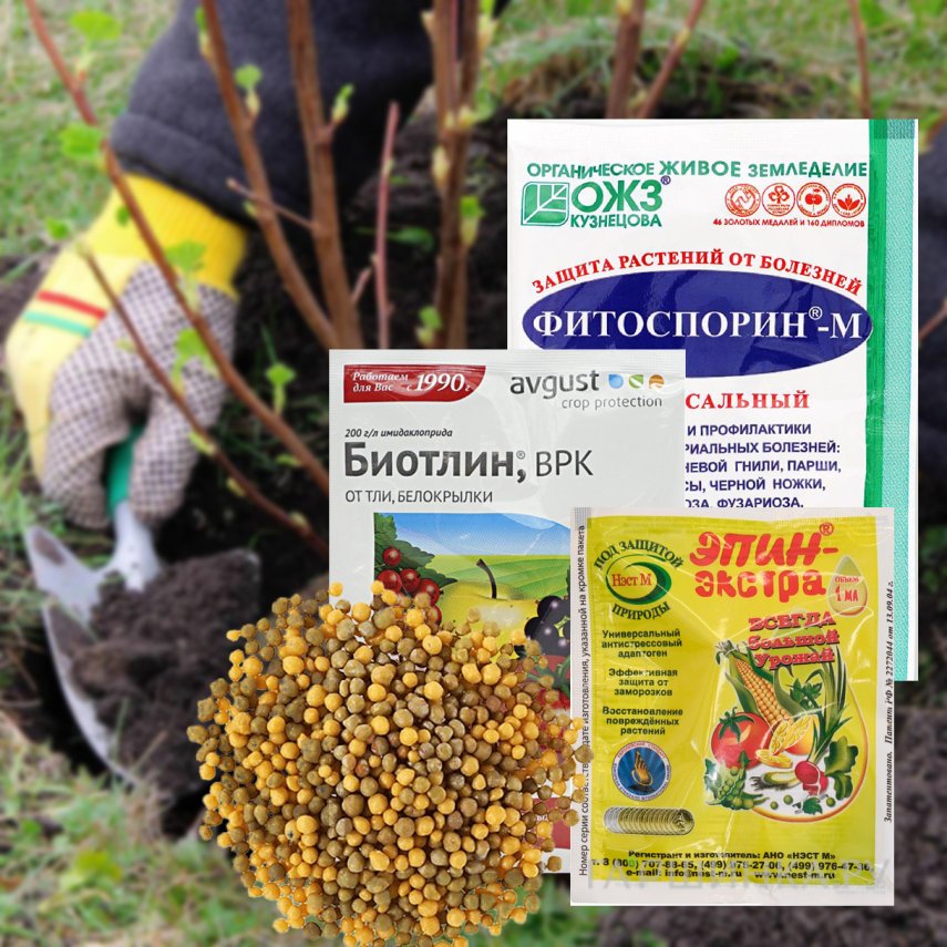Лёгкий старт