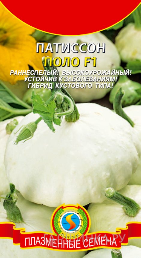 Семена Патиссон Поло F1, 6 шт, Плазменные семена