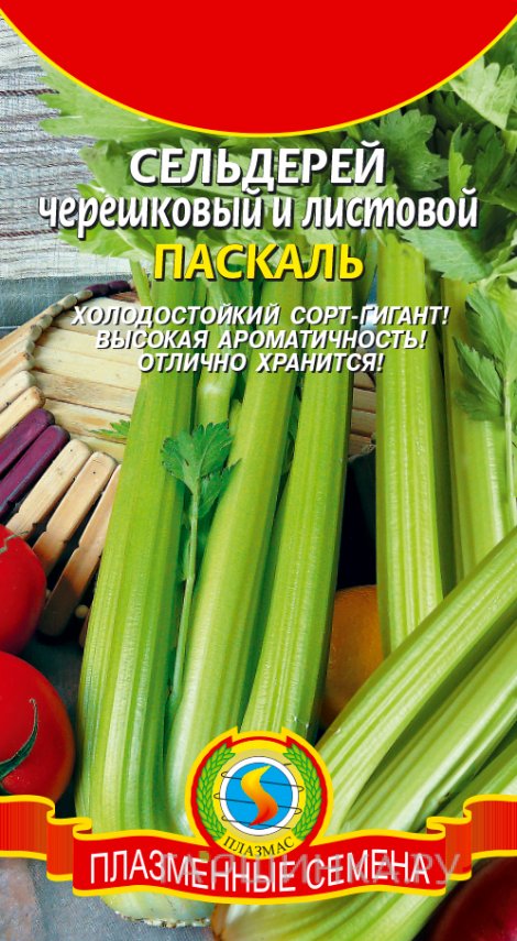 Семена Сельдерей черешковый и листовой Паскаль, 0,5 гр, Плазменные семена