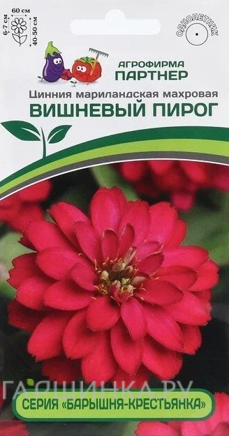 Семена Цинния махровая "Барышня-крестьянка" Вишневый Пирог 5 шт. Партнер