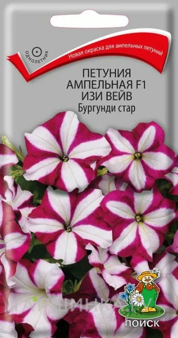 Семена Петуния ампельная F1 Изи Вейв Бургунди Стар 5, Поиск