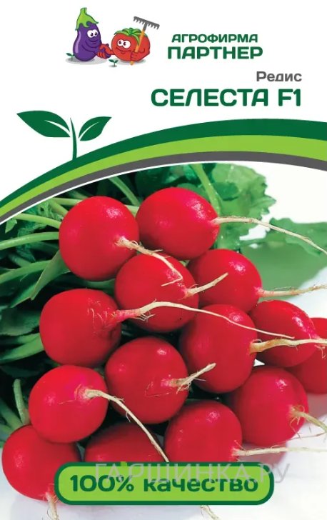 Семена Редис Селеста F1 1 г Партнер