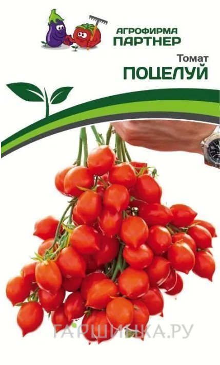 Семена Томат Поцелуй 10. Партнер