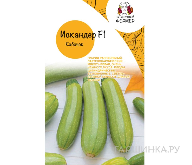 Семена Кабачок ИСКАНДЕР F1,Seminis (5 шт), Нетипичный Фермер
