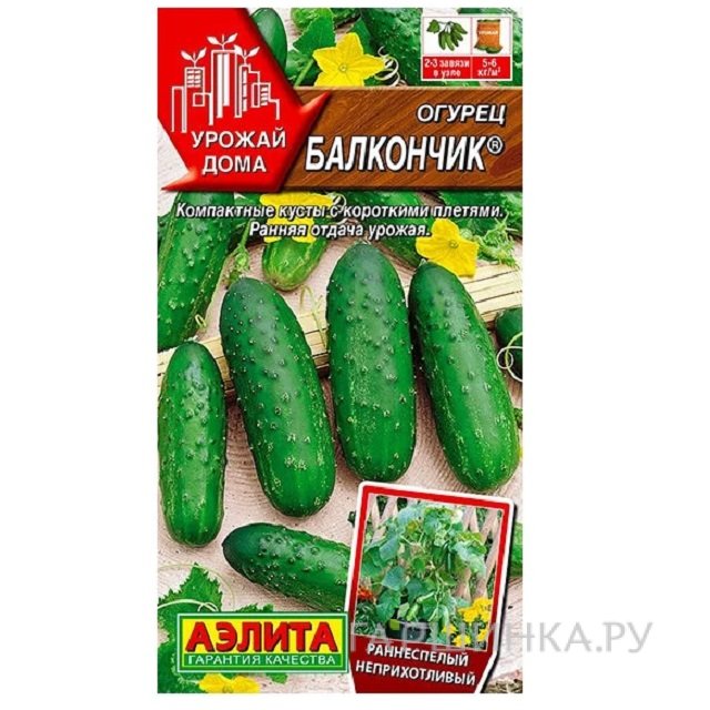 Семена Огурец Балкончик