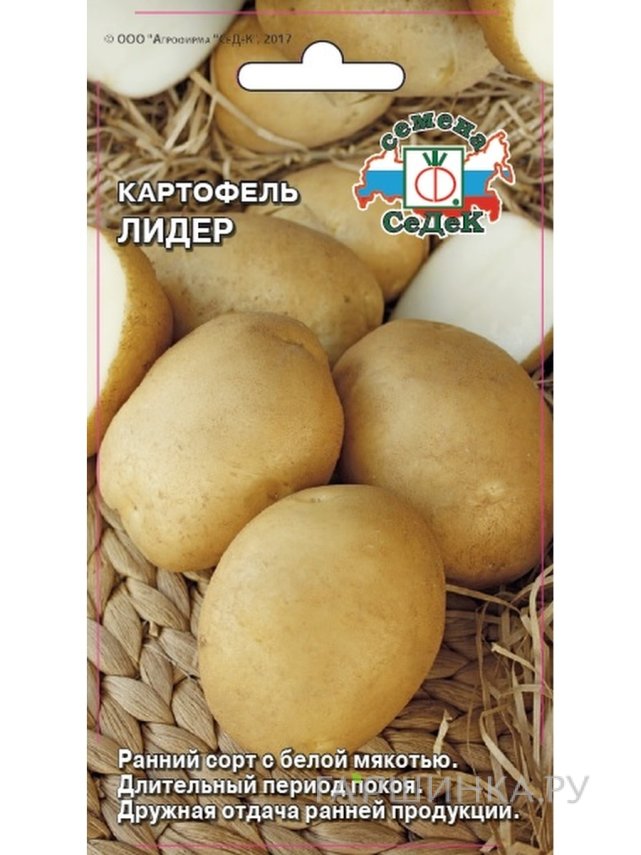 Семена Картофель Лидер