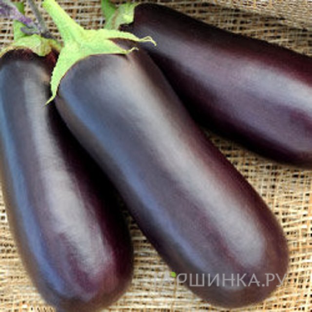 Семена Баклажан Галич 0,25 г