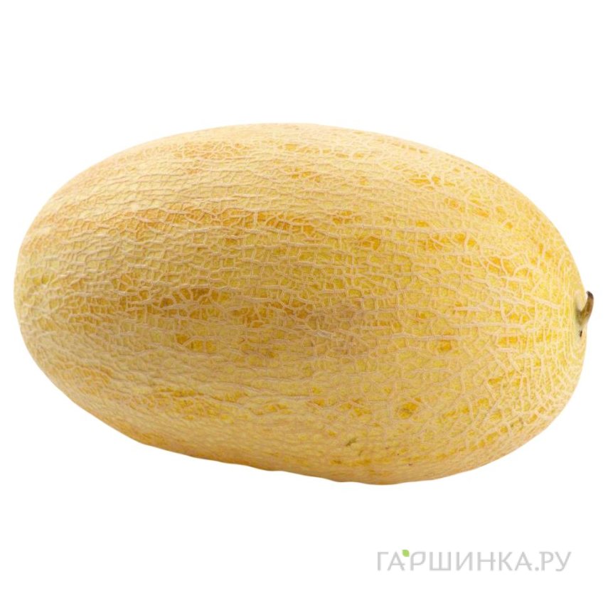 Семена Дыня Торпеда 15 шт