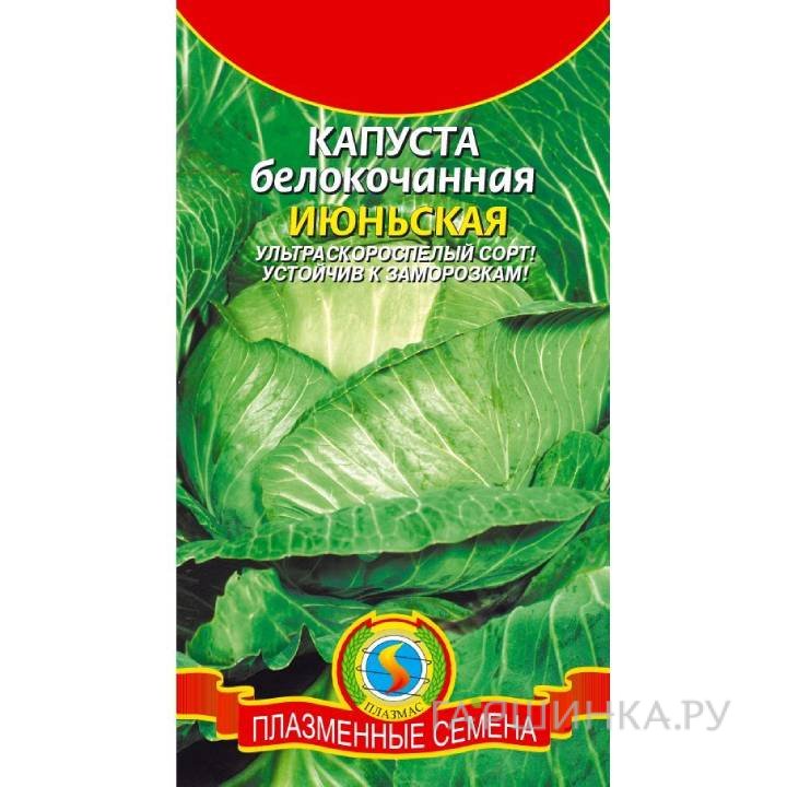 Семена Капуста Июньская 0,5гр ЦП