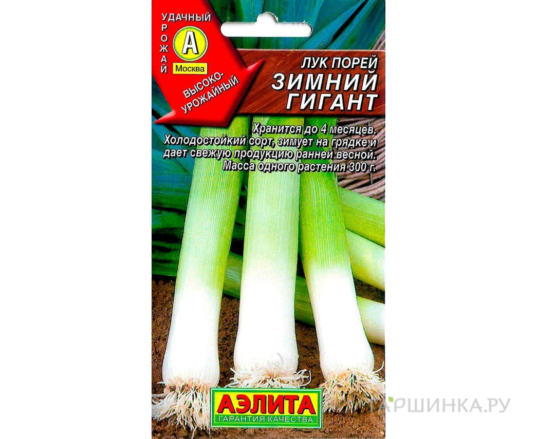 Семена Лук порей Зимний гигант 1гр.