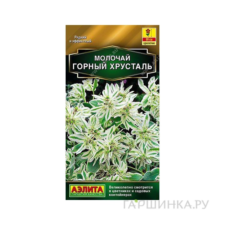 Семена Молочай Горный хрусталь 0,5гр ЦП