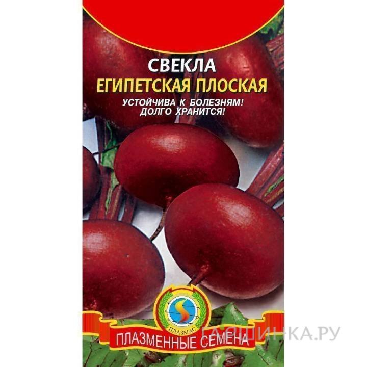 Семена Свекла Египетская плоская ц.п. 2,5 гр