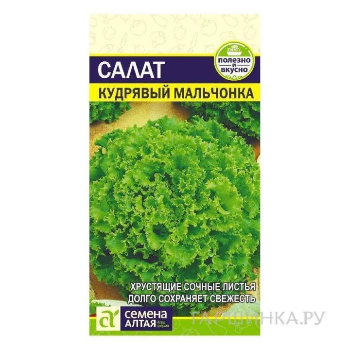 Семена Салат Кудрявый Мальчонка 0,5гр ЦП
