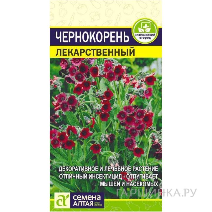Семена Чернокорень Лекарственный 0,1гр. ЦП