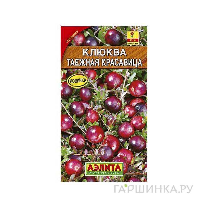 Семена Клюква Таежная красавица  ЦП
