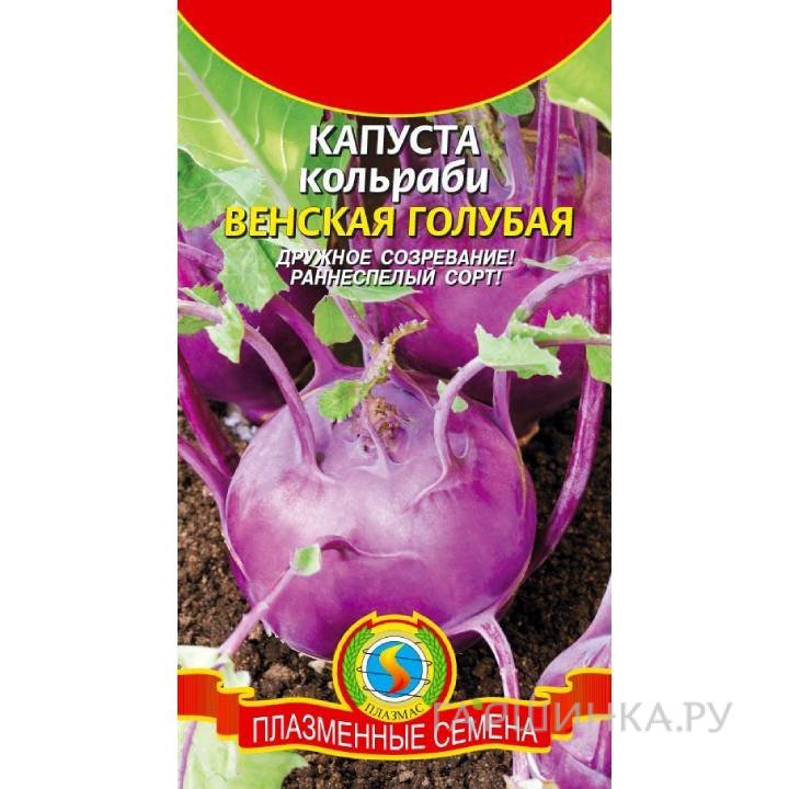 Семена Капуста Венская голубая ц.п.