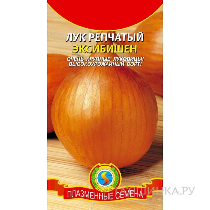 Семена Лук репчатый Эксибишен 50шт