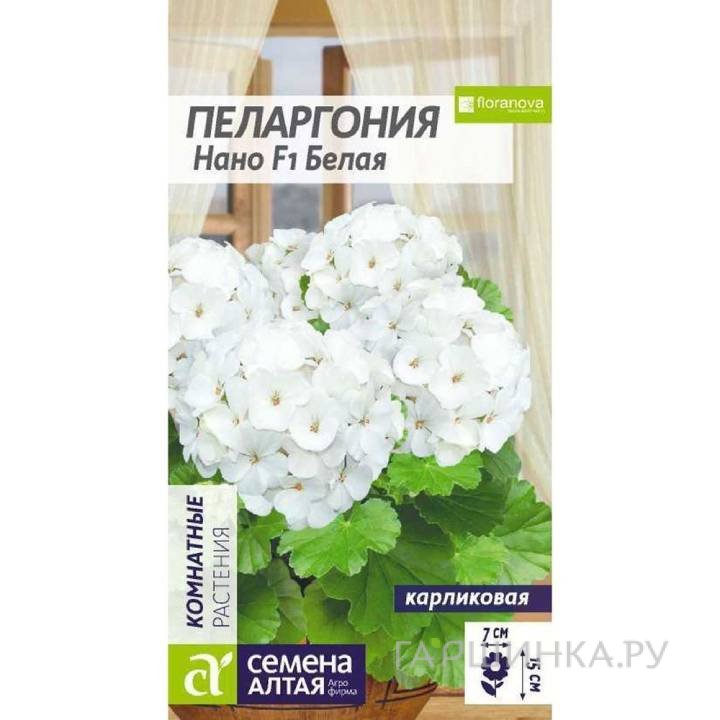 Семена Пеларгония Нано Белая 3шт ЦП