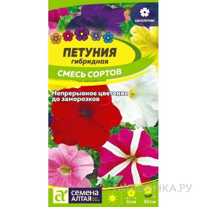 Семена Петуния Гибридная 0,1гр ЦП