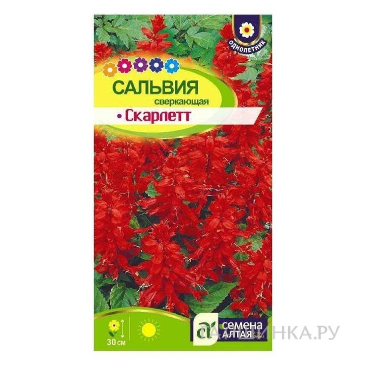 Семена Сальвия Скарлет Сверкающая 0,1гр ЦП
