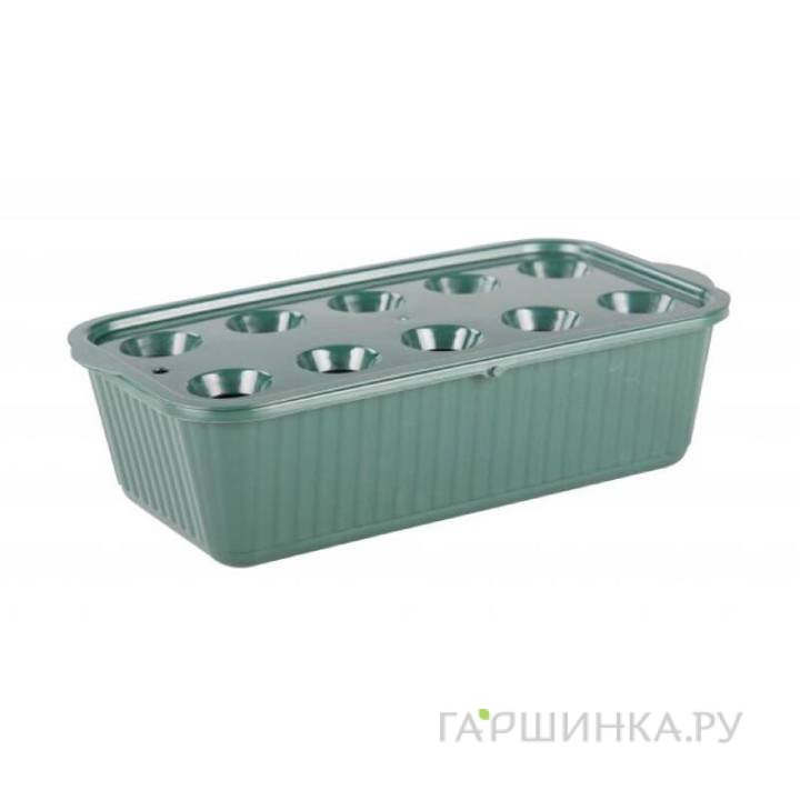 Лоток д/выращивания зеленого лука