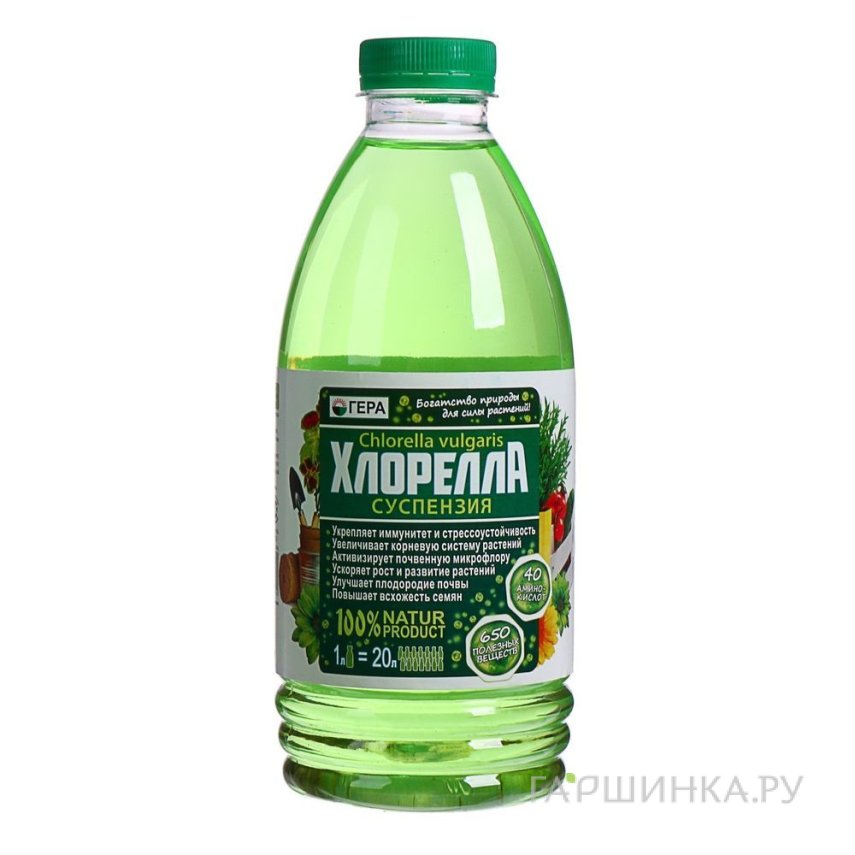 Суспензия Хлорелла