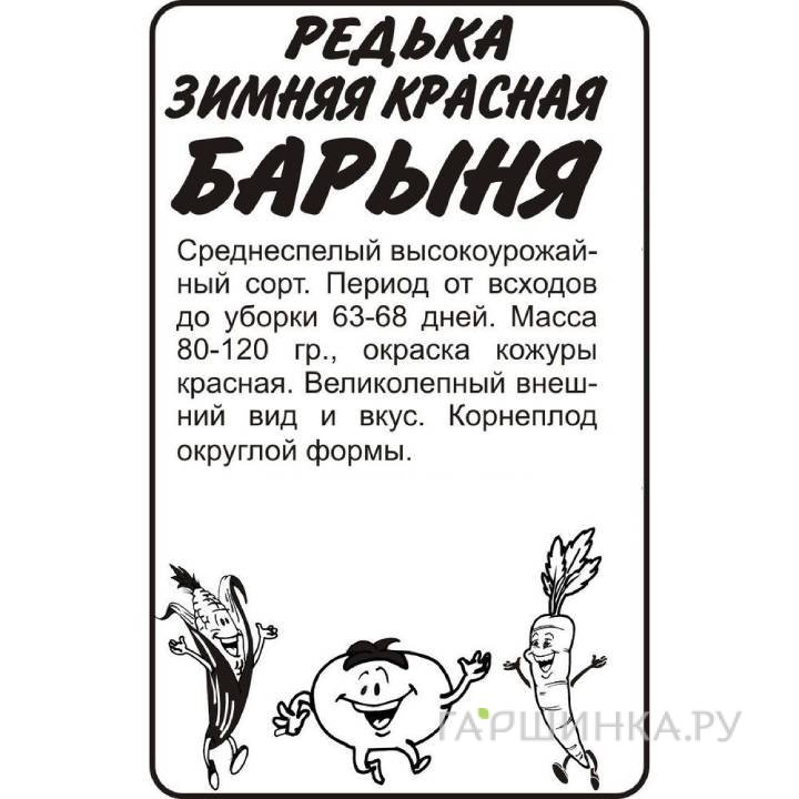 Семена Редька Барыня Зимняя Красная  1гр БП