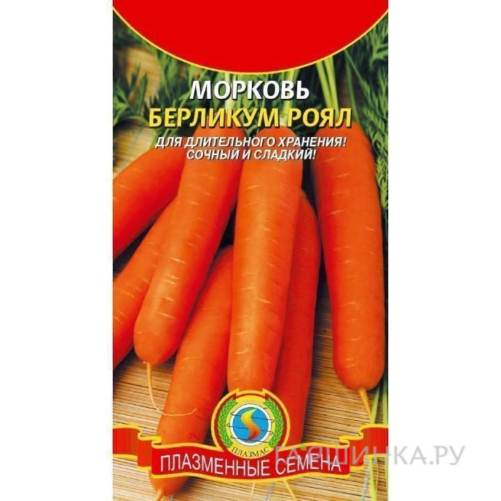 Семена Морковь Берликум роял  ц.п. 2гр