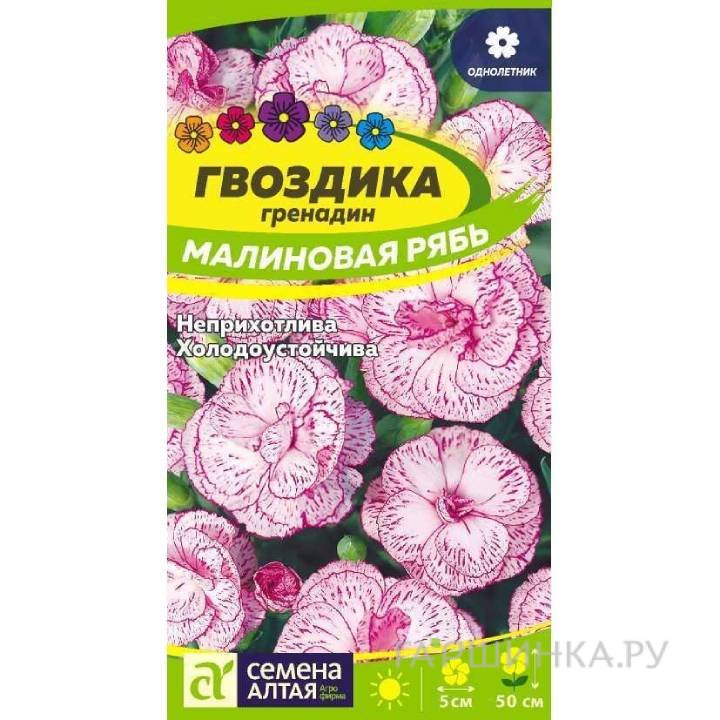 Семена Гвоздика гренадин Малиновая рябь  0,2гр ЦП