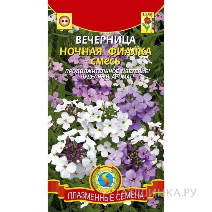 Семена Вечерница ночная фиалка смесь ц.п. 0,2 гр