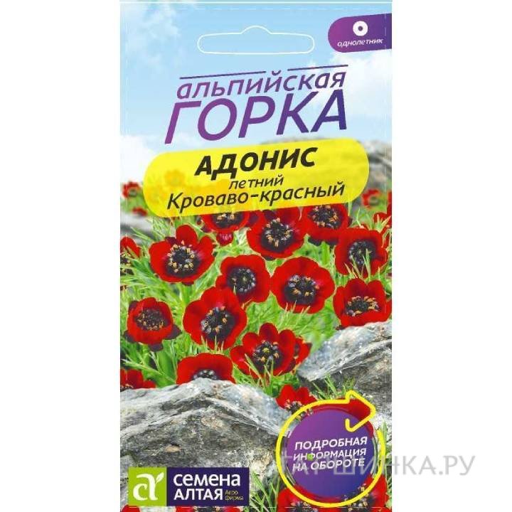 Семена Адонис летний Кроваво-красный  0,2гр ЦП