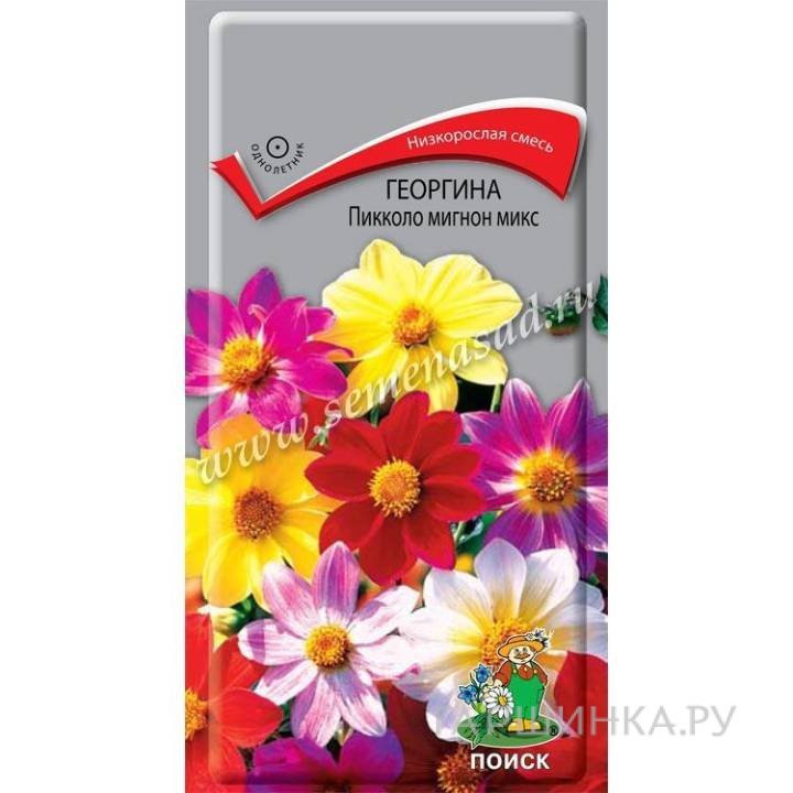 Семена Георгина Пикколо мигнон микс  0,3гр  ЦП