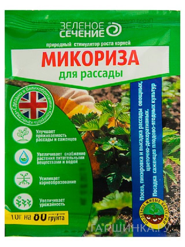 Микориза для рассады