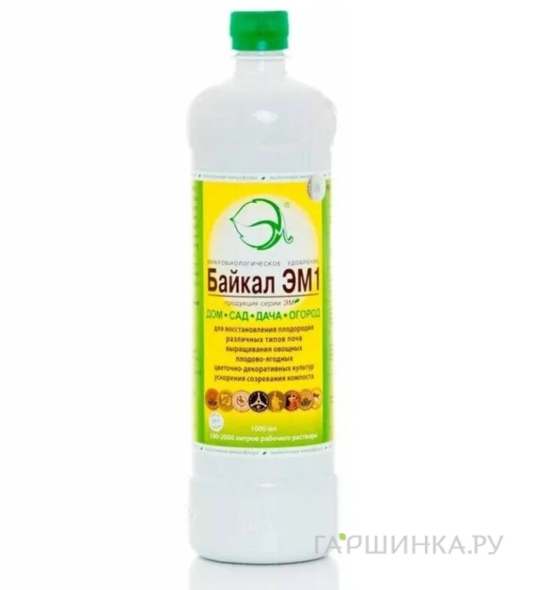 Байкал ЭМ-1